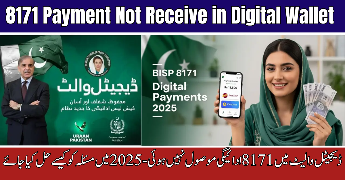 8171 Payment Not Receive in Digital Wallet
